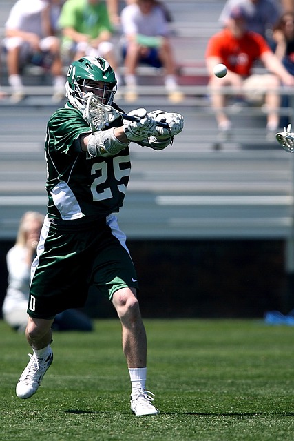 从而减少资 从而减少资